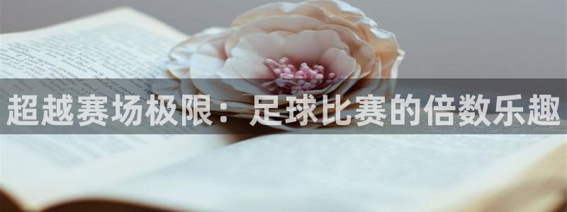 超越赛场极限：足球比赛的倍数乐趣