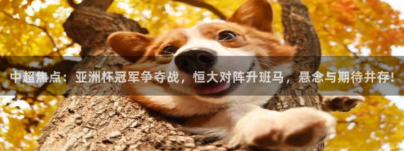  中超焦点：亚洲杯冠军争夺战，恒大对阵升班马，悬念与期待并存!