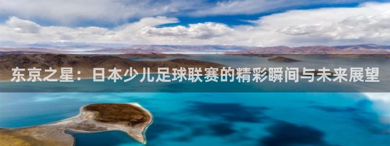东京之星：日本少儿足球联赛的精彩瞬间与未来展望