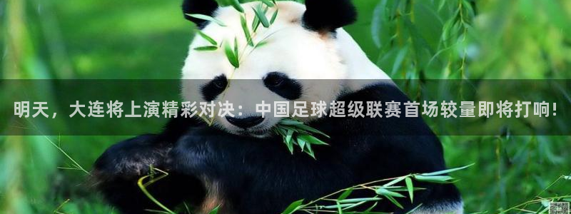  明天，大连将上演精彩对决：中国足球超级联赛首场较量即将打响!