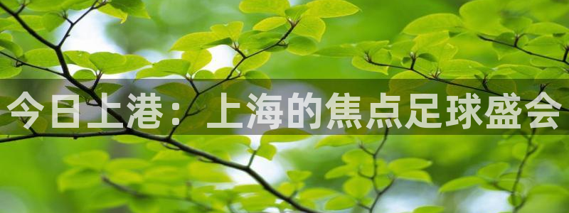 今日上港：上海的焦点足球盛会