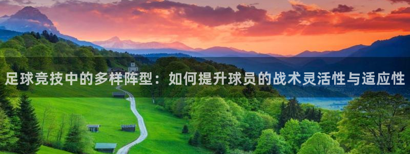 足球竞技中的多样阵型：如何提升球员的战术灵活性与适应性