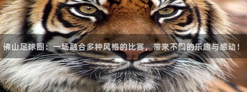 佛山足球圈：一场融合多种风格的比赛，带来不同的乐趣与感动！