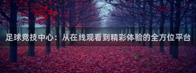 足球竞技中心：从在线观看到精彩体验的全方位平台