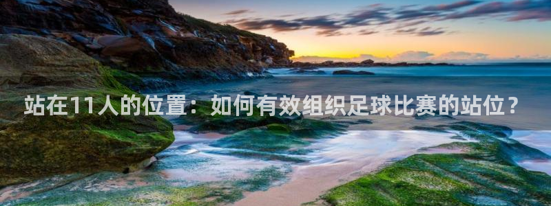 站在11人的位置：如何有效组织足球比赛的站位？