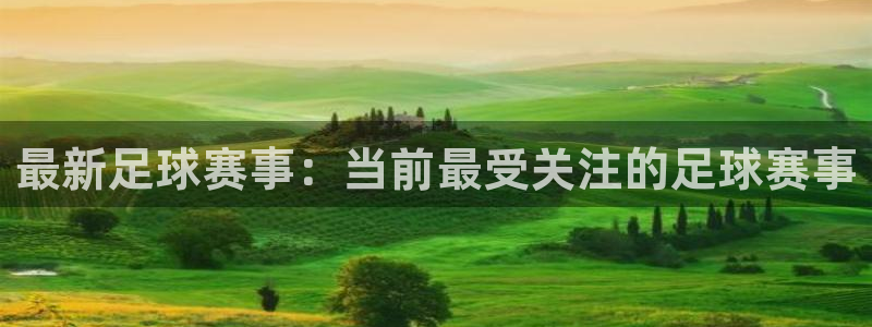 最新足球赛事：当前最受关注的足球赛事