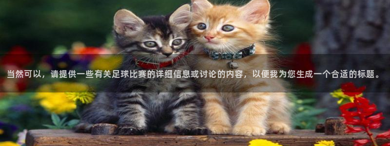  当然可以，请提供一些有关足球比赛的详细信息或讨论的内容，以便