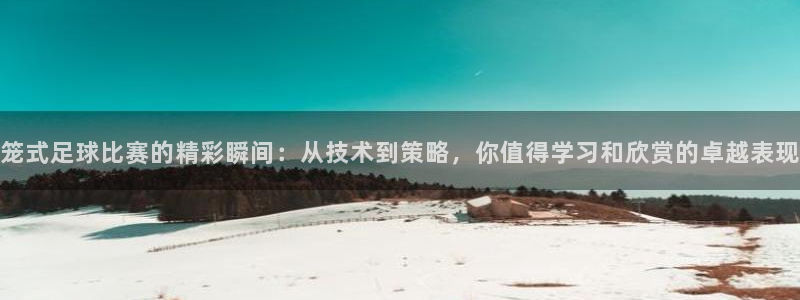 笼式足球比赛的精彩瞬间：从技术到策略，你值得学习和欣赏的卓越