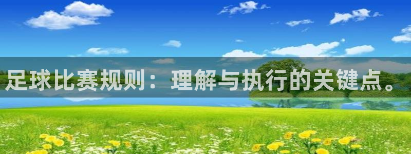  足球比赛规则：理解与执行的关键点。