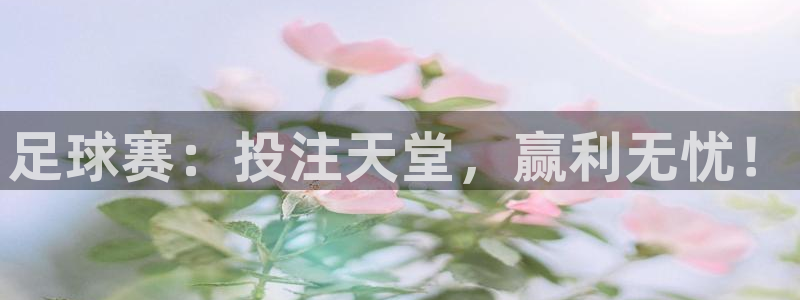  足球赛：投注天堂，赢利无忧！