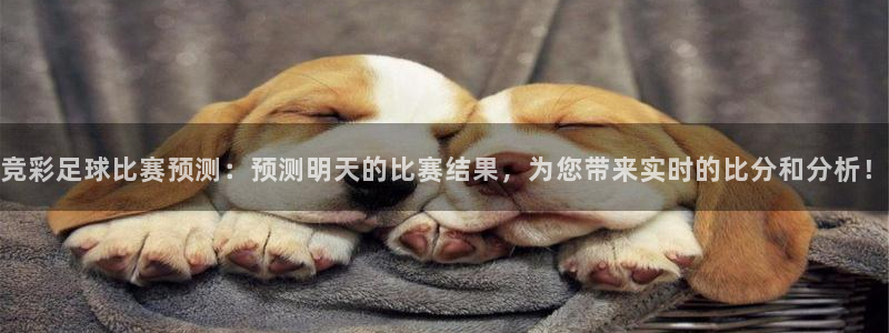  竞彩足球比赛预测：预测明天的比赛结果，为您带来实时的比分和分
