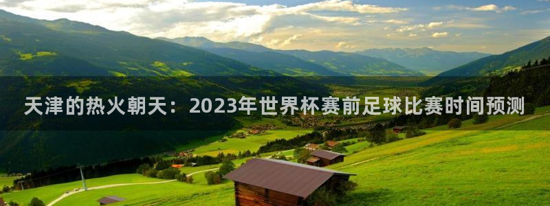 天津的热火朝天：2023年世界杯赛前足球比赛时间预测