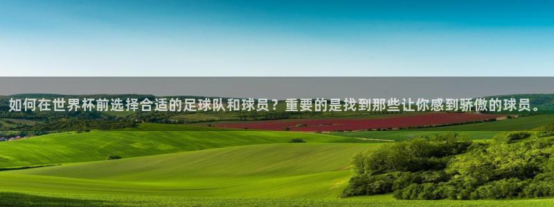  如何在世界杯前选择合适的足球队和球员？重要的是找到那些让你感