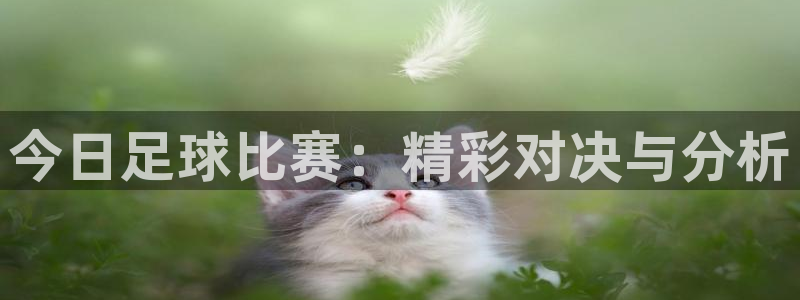  今日足球比赛：精彩对决与分析