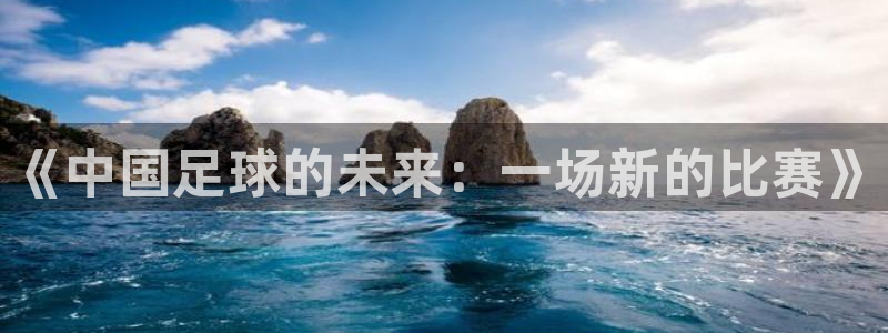 《中国足球的未来：一场新的比赛》