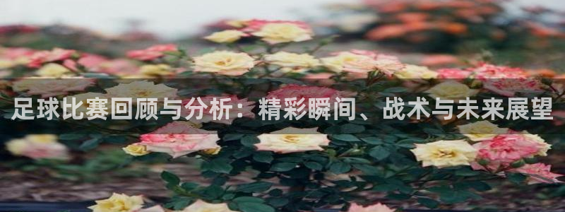 足球比赛回顾与分析：精彩瞬间、战术与未来展望
