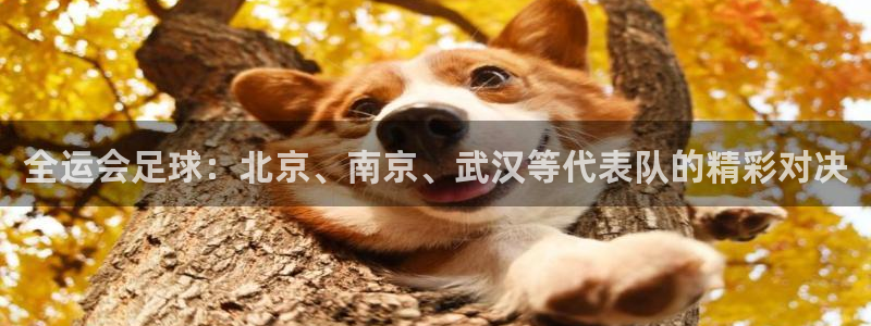  全运会足球：北京、南京、武汉等代表队的精彩对决