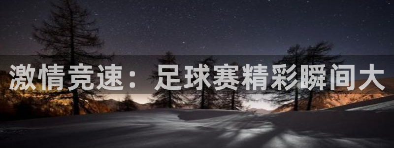  激情竞速：足球赛精彩瞬间大