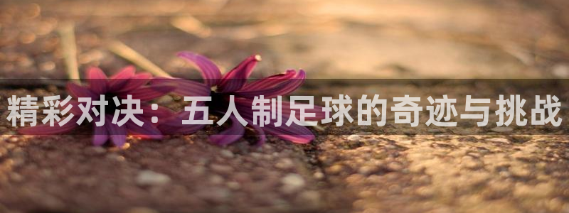  精彩对决：五人制足球的奇迹与挑战