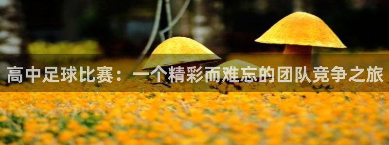 高中足球比赛：一个精彩而难忘的团队竞
