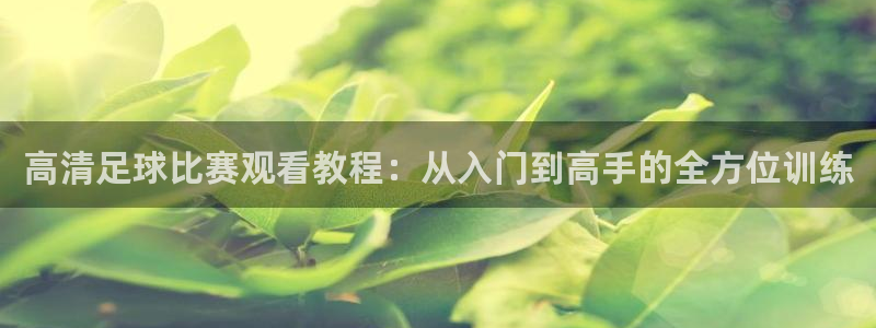 高清足球比赛观看教程：从入门到高手的