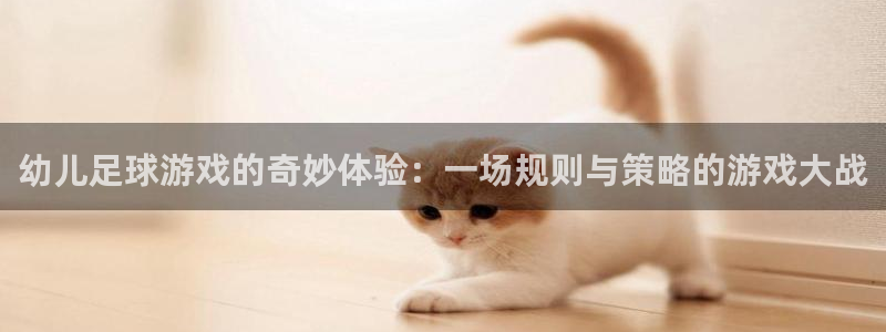 幼儿足球游戏的奇妙体验：一场规则与策
