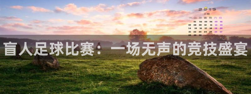盲人足球比赛：一场无声的竞技盛宴