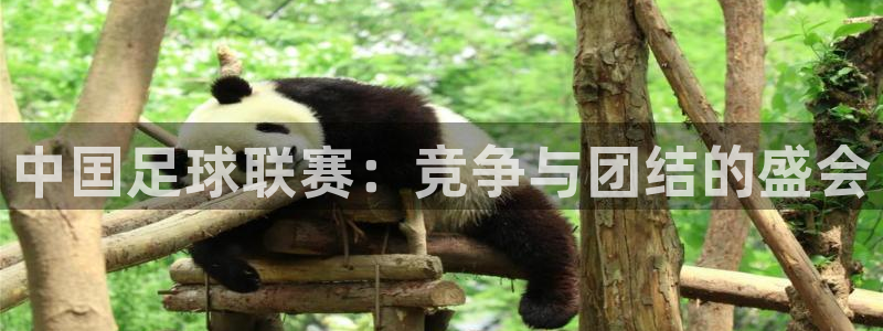 中囯足球联赛：竞争与团结的盛会