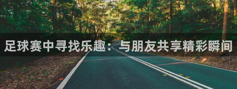 足球赛中寻找乐趣：与朋友共享精彩瞬间