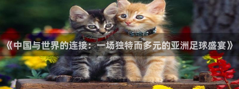 《中国与世界的连接：一场独特而多元的