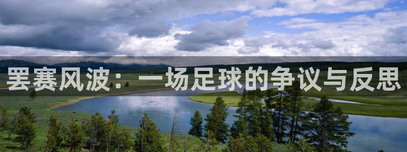 罢赛风波：一场足球的争议与反思
