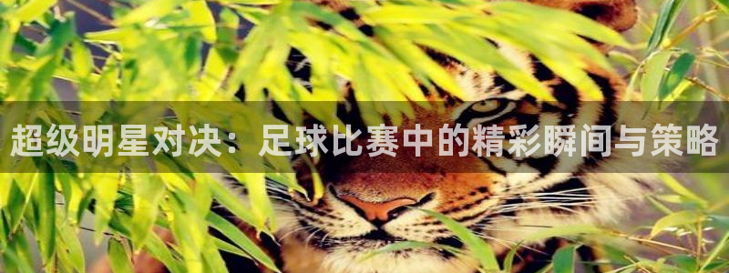 超级明星对决：足球比赛中的精彩瞬间与
