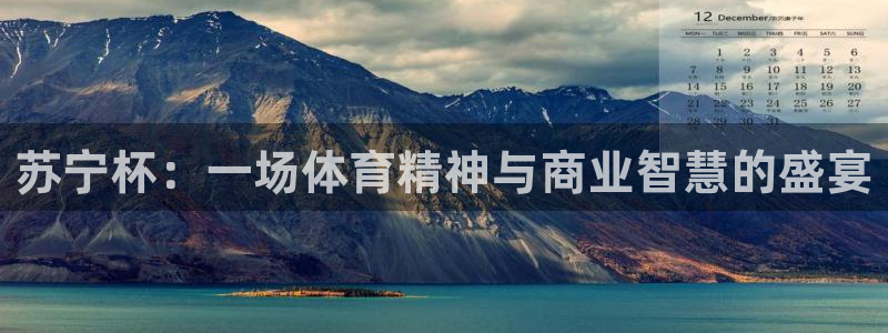 苏宁杯：一场体育精神与商业智慧的盛宴