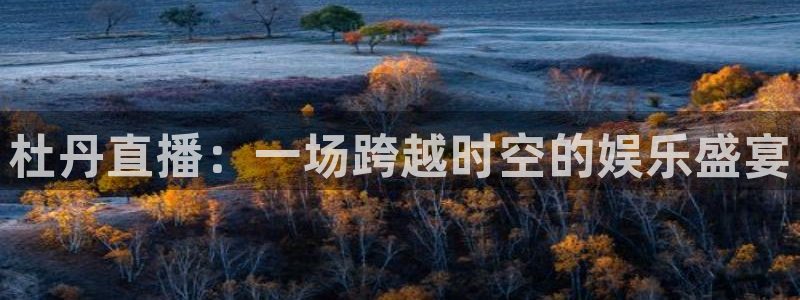球神直播体育免费直播：杜丹直播：一场跨越时空的娱乐盛宴