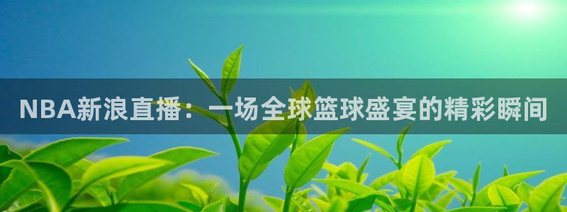 球神体育直播在线：NBA新浪直播：一场全球篮球盛宴的精彩瞬间