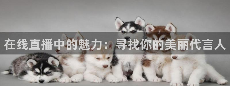nba球神直播在线观看：在线直播中的魅力：寻找你的美丽代言人