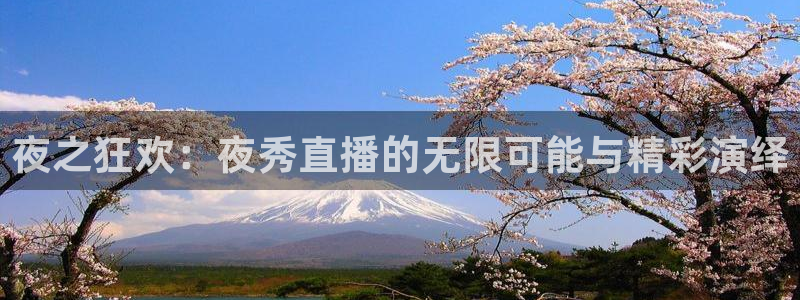 黑白直播免费高清看球神器：夜之狂欢：夜秀直播的无限可能与精彩演绎
