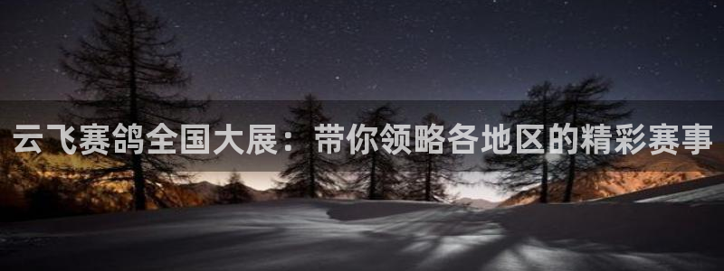 球神直播间：云飞赛鸽全国大展：带你领略各地区的精彩赛事