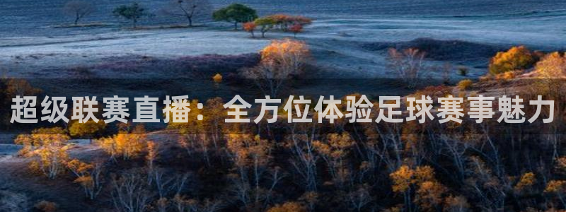 球神体育直播官网：超级联赛直播：全方位体验足球赛事魅力