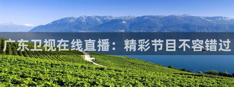 足球直播球神：广东卫视在线直播：精彩节目不容错过