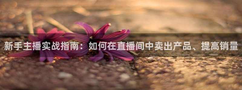 球神直播nba