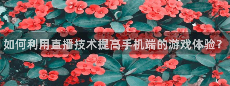 球神直播体育在线