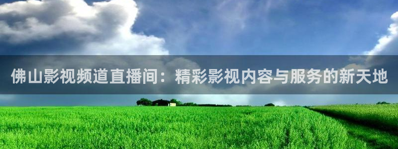 球神直播官网