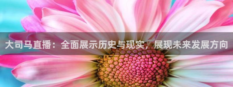 球神直播免费体育直播：大司马直播：全面展示历史与现实，展现未来发展方向